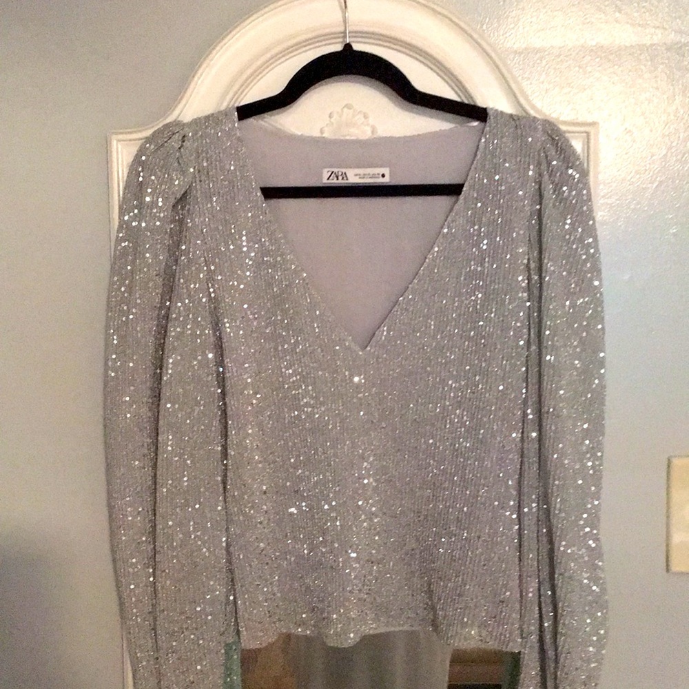 Zara Silver Sequin Top
